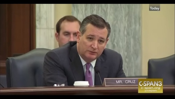 Ted Cruz Grills Twitter Policy Director Over Project Veritas Videos in Senate