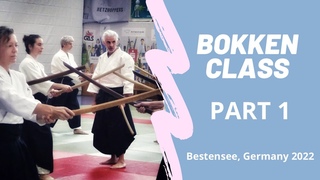 Bokken practice - Random attacks !