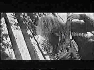 05-Forsth - Wolfshowl In The