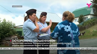 Более 10 млн рублей за полгода отдали мошенникам жители Заводоуковского городского округа