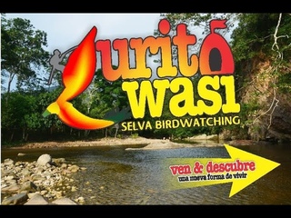 Urito Wasi parque y recreo turístico en Tarapoto - Perú #NotasUrbanas #Short #shortsvideo