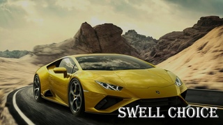 David Puentez - Banana (BRANDON Remix) | 🔉 Swell Choice 🔊