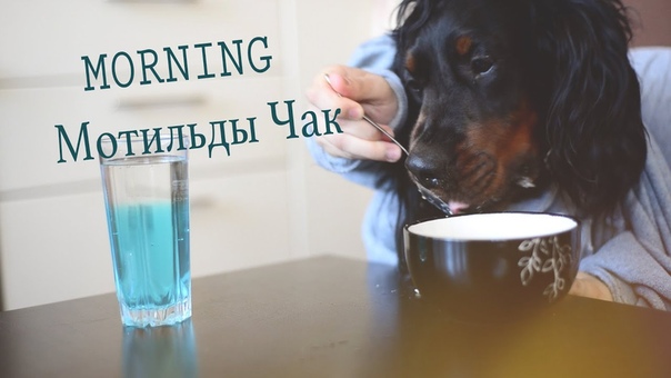 Мое человеческое утро Мотильда