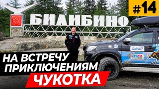 Билибино  Еду по просторам Чукотки  Встреча с медведем и оленями  Случайный выстрел  #14