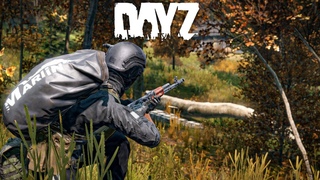 Нашли огромный схрон - DayZ