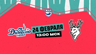 . Динамо-Нева - ЖХК Торпедо. Регулярный чемпионат ЖХЛ 2023/2024