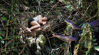 Full-video: Tent From Forest Ropes, Weaving Spider Webs - Encounter The Dangers Of The Jungle