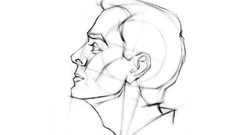 How to Draw the Head Side