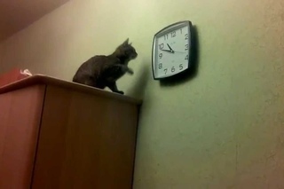 Который час?