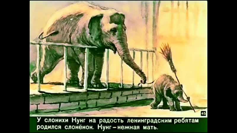 Сюн и Кунг. Виталий