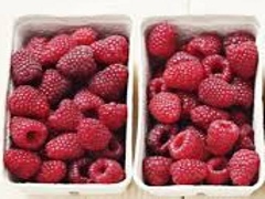 Raspberries boxed on Pallet