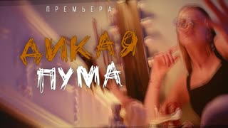 Премьера клипа! Юлианна Караулова - ДИКАЯ ПУМА (09.12.2019)