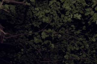 Lucrecia Dalt - Inframince official video