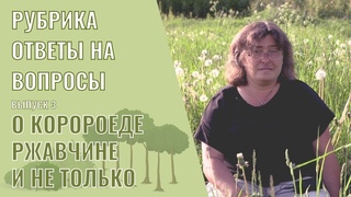 Ответы на вопросы выпуск 3