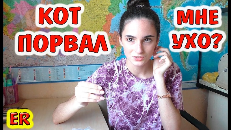 Кот вырвал Алисе серьгу из уха, утренний макияж, мотивация
