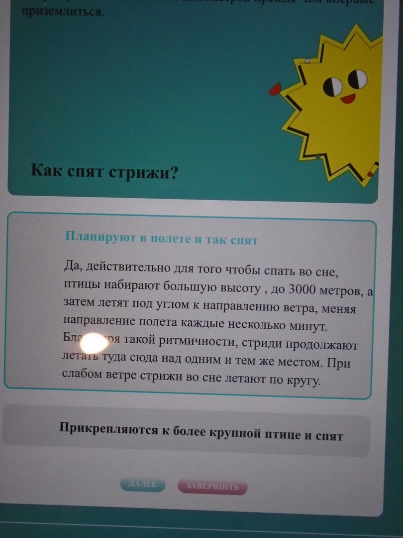 события санкт петербург Вредно или полезно?