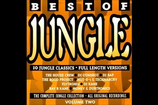Best Of Jungle Volume Two