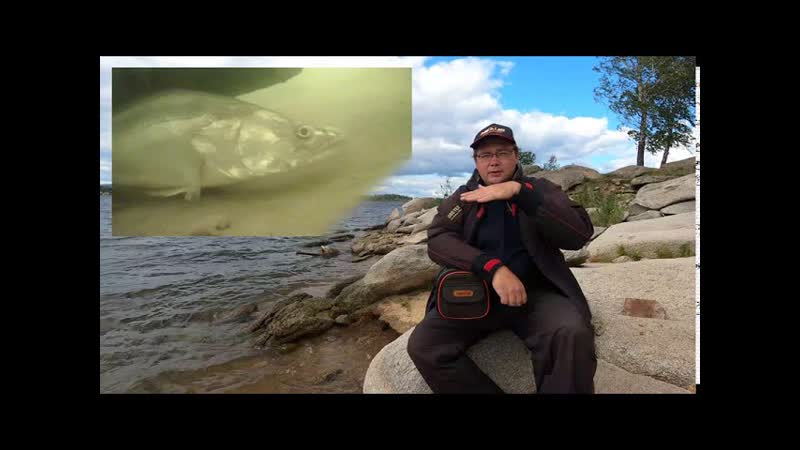 Подводная камера Focus Fish. Особенности модели зимнего сезона