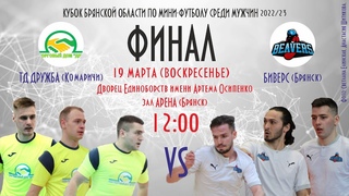 Обзор Финала Кубка. ТД Дружба - Комаричи-Л (Комаричи) - Биверс (Брянск) 1-6 (1-3)