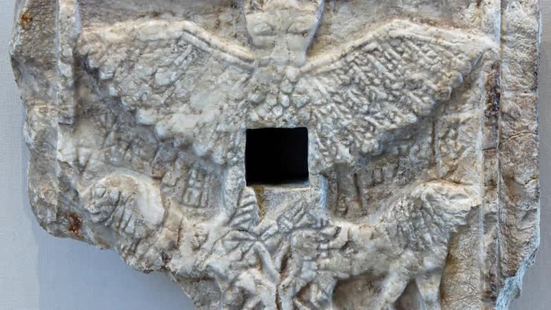 Видео от European supporters for President Trump