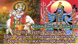 Кали Виласа Тантра - богиня Дурга передает  Шри Кришне семенные мантры  5 форм бога желания Камадевы
