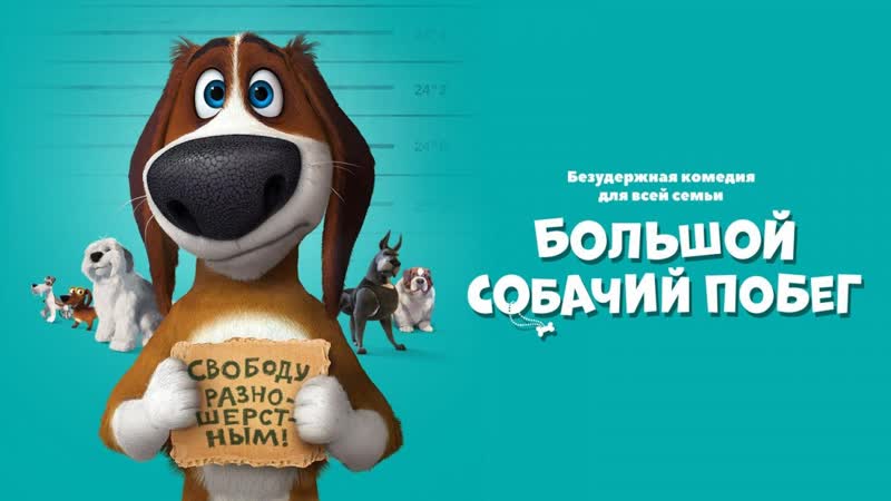 Большой собачий
