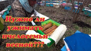 СТОИТ ЛИ УЖИМАТЬ ПЧЕЛОСЕМЬИ РАННЕЙ ВЕСНОЙ, МОЙ ОПЫТ И КАК Я ДЕЛАЮ