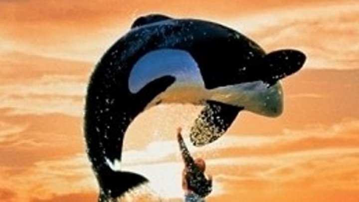 Освободите Вилли, Free Willy