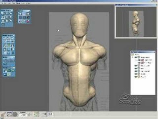 Claytools (плагин для Rhino): demo Anatomy Sculpting