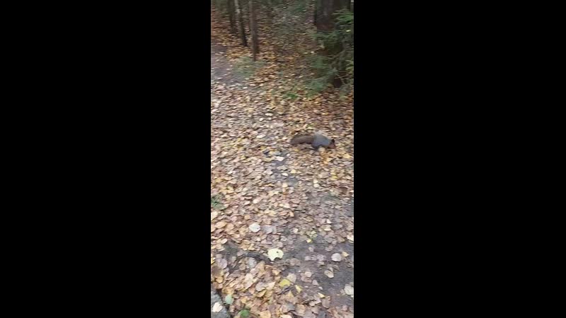 20200926_122828.mp4
