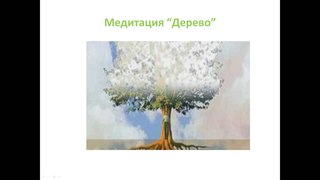 Медитация “Дерево“