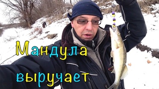 ЗИМНИЙ ДЖИГ НА ДОНУ. ТЕСТ МАНДУЛ И НОВЫХ СПИННИНГОВ.