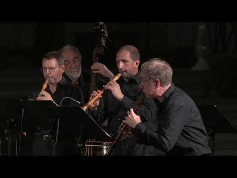 J. S. Bach : Brandenburg Concerto n. 1 in F Major BWV 1046 ( Zefiro Baroque Orchestra A.