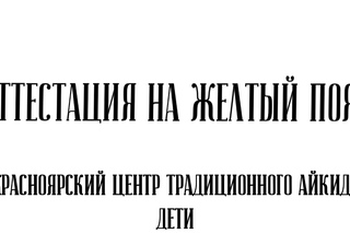 Аттестация на желтый пояс