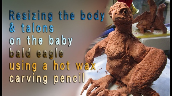 Bald Eagle Sculpture model Chavant NSP