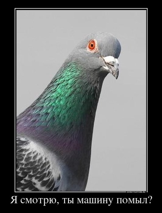 Михаил Титаренко | Новосибирск