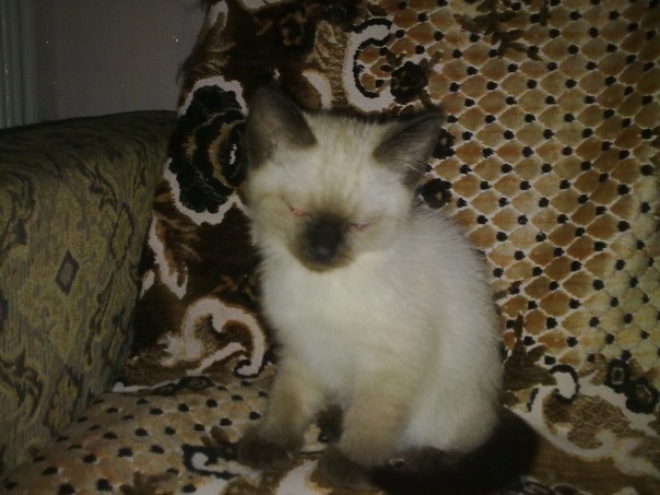 №67, Дима Стефанков, 32 года, Житомир №67, Дима Стефанков, 32 года, Житомир