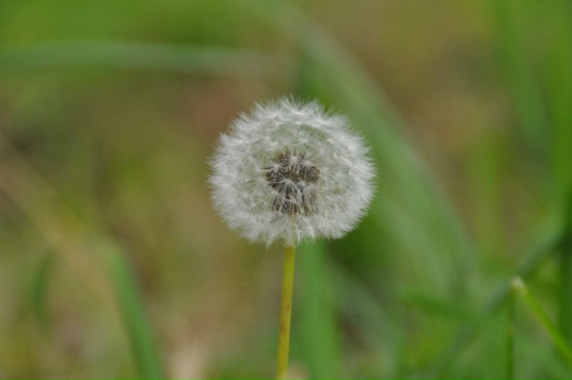 Катерина Шафрыгина | Красноярск