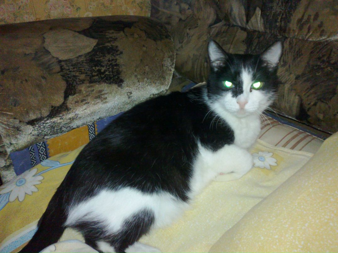 Алексей Никифоров | Магнитогорск