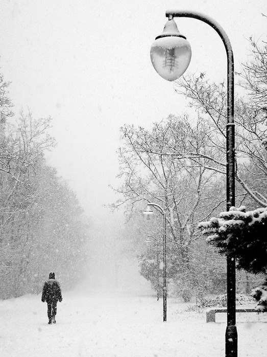 Katyusha Стецюн (=^-^=) | Киев