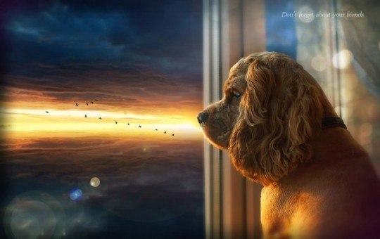 Анна Дацюк | Полтава