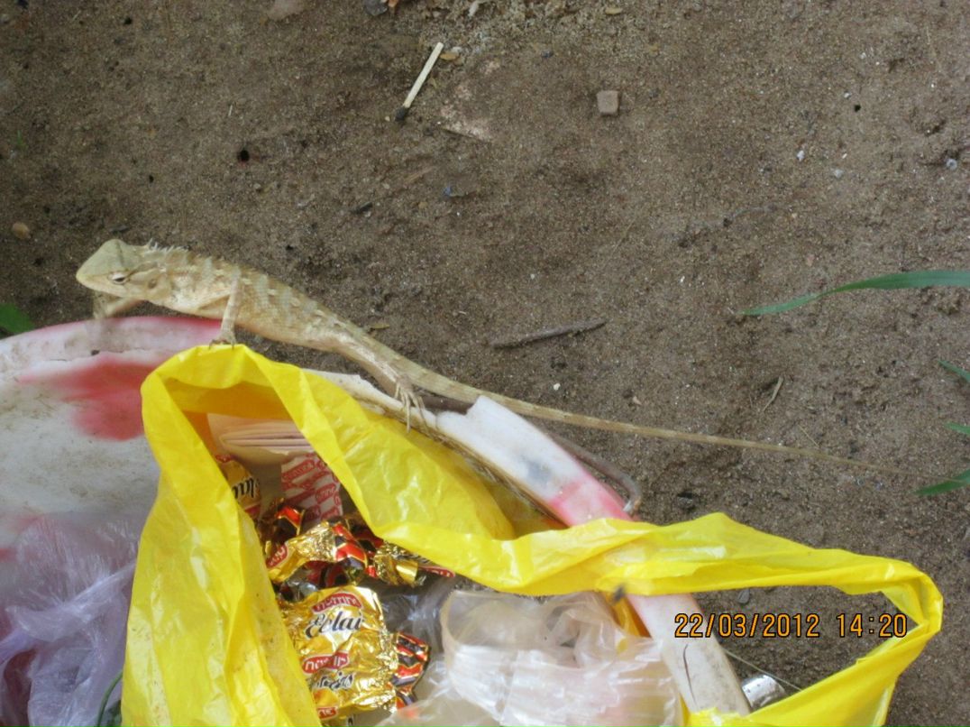 Константин Сарьян | Санкт-Петербург