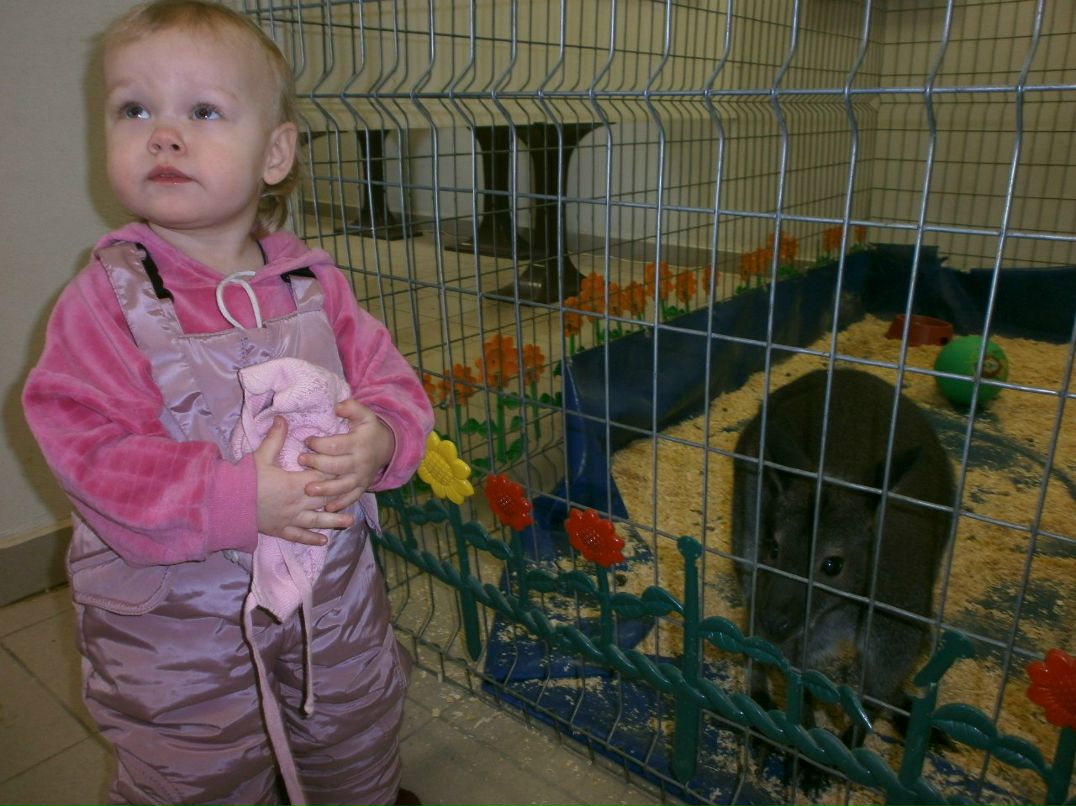 Елена Назарова | Псков