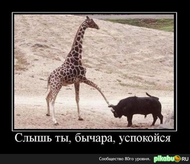 №28, Сергей Кононович, 37 лет, Санкт-Петербург, Россия №28, Сергей Кононович, 37 лет, Санкт-Петербург, Россия