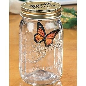 Алина Иванова | Калининград