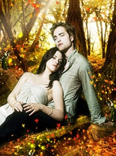 №62, Юлия Шевченко №62, Юлия Шевченко