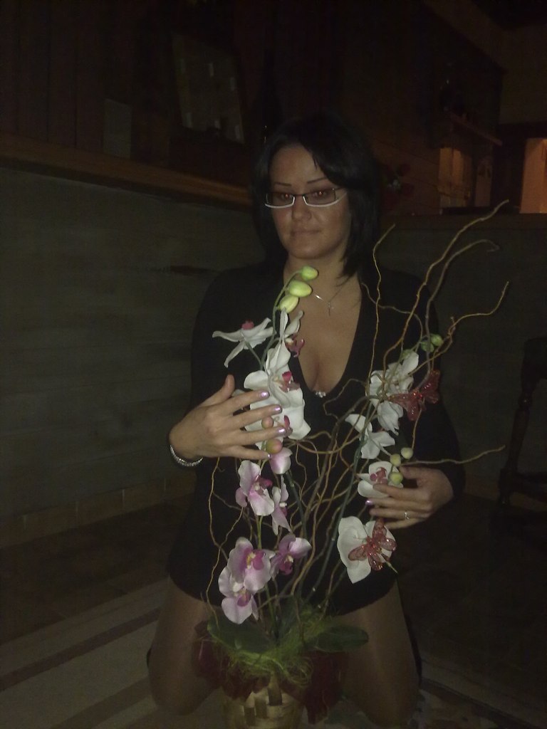 Elena Ustich | Cento