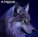 Александр Пелых фотография #27