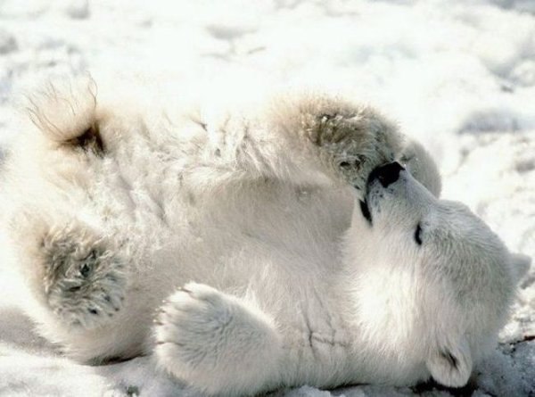 Оленька Ню | Москва