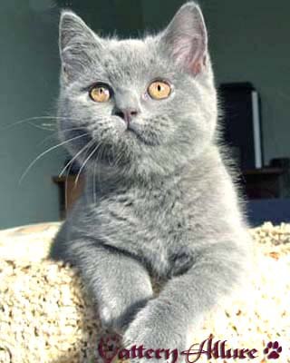 Равиля Идрисова | Астрахань